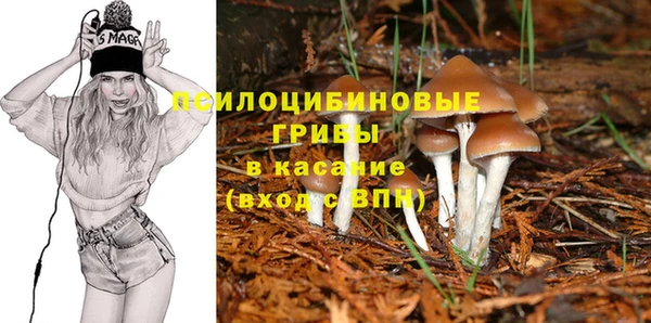 героин Новодвинск